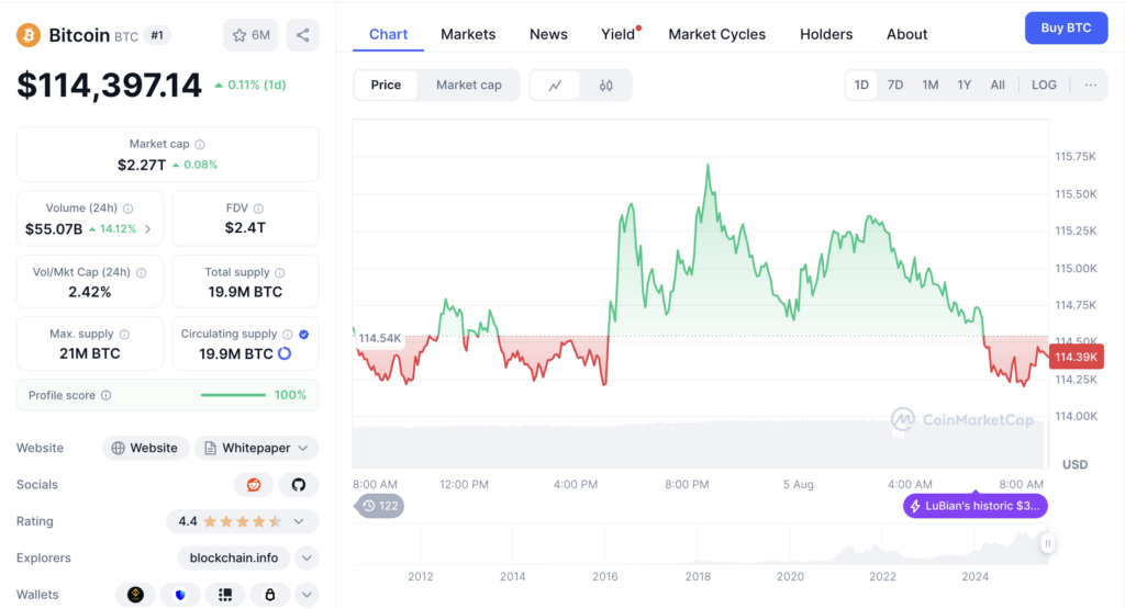 نمودار قیمت روزانه و اطلاعات بازار بیت کوین - منبع: CoinMarketCap